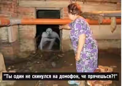 2017.jpg
