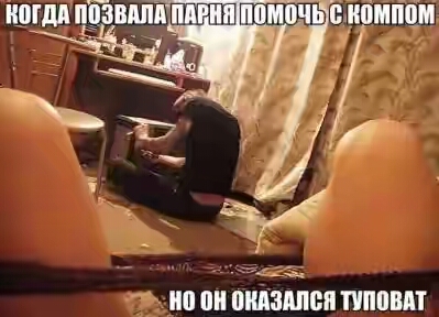 201730.jpg 