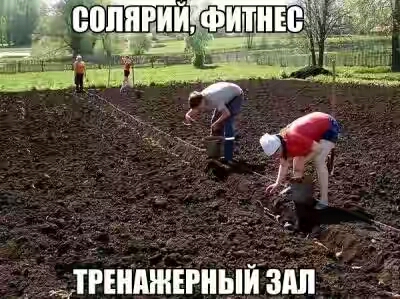 202050.jpg