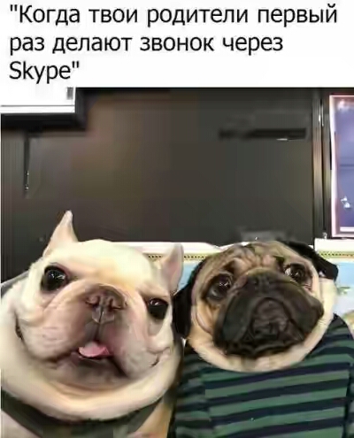 201930.jpg
