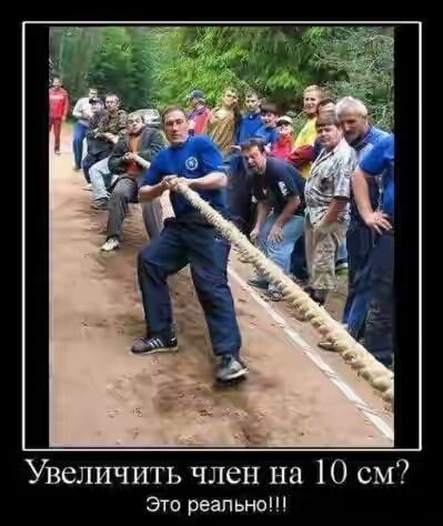 201730.jpg