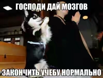 201630.jpg