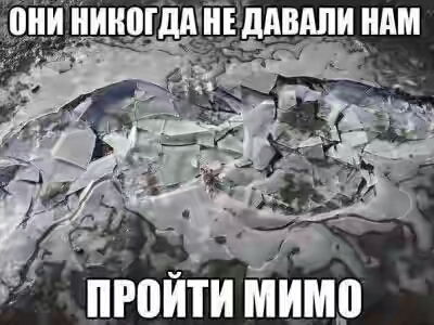 201630.jpg