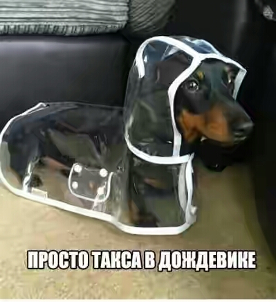 201730.jpg