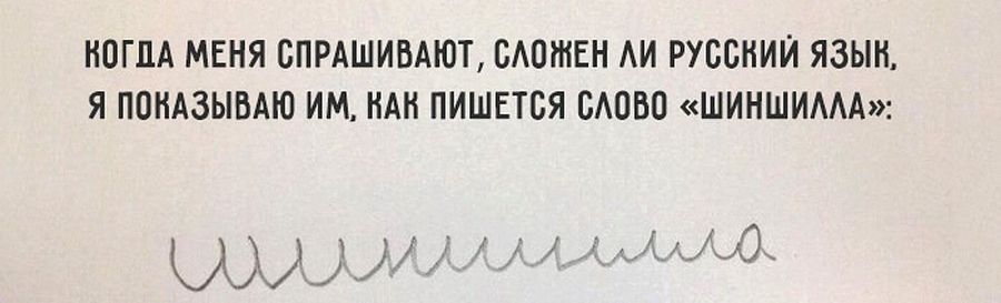 2019.jpg 