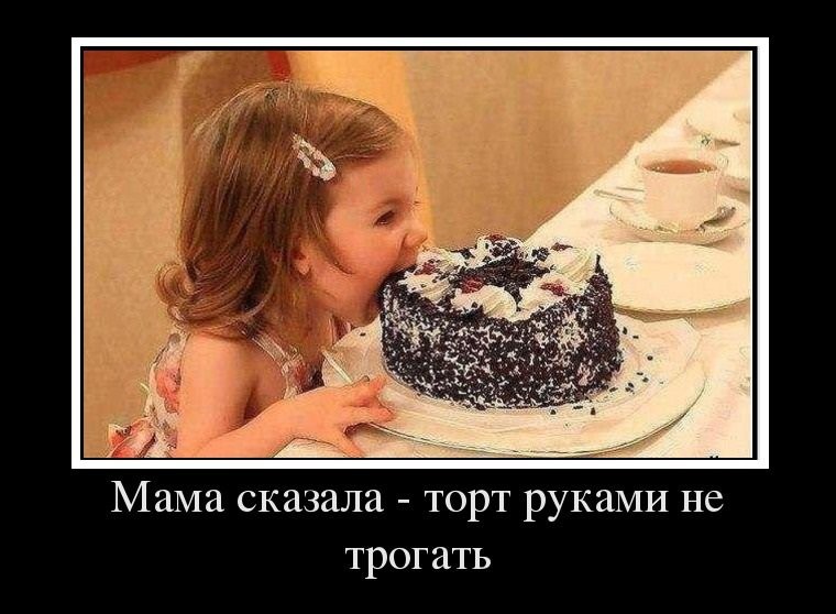 2019.jpg 