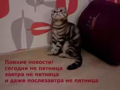 2018.jpg 
