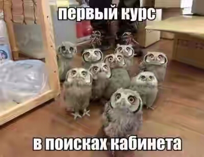 2019.jpg 