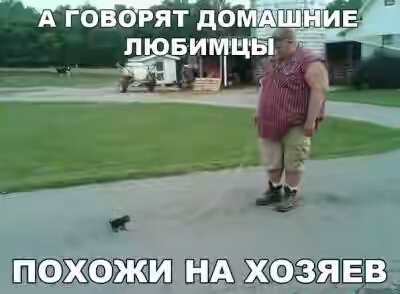 201730.jpg