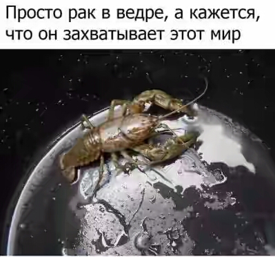 2022.jpg 