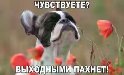 2018.jpg 