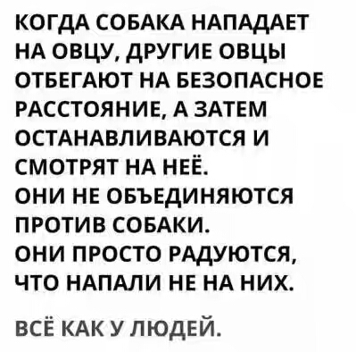 201630.jpg