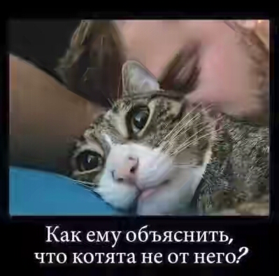 201730.jpg
