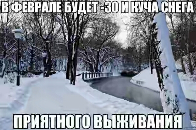 201730.jpg