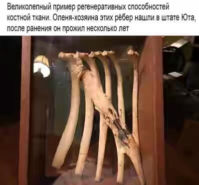 201630.jpg