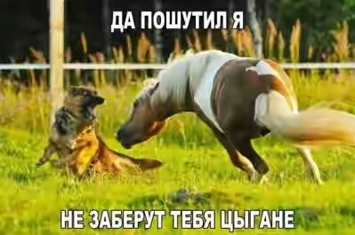 2018.jpg 
