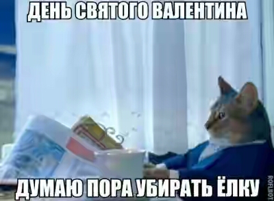 201630.jpg 