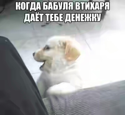 2020.jpg 
