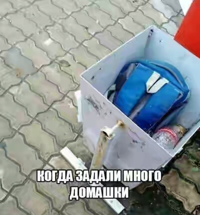 2022.jpg 