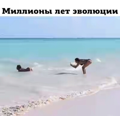 201630.jpg 