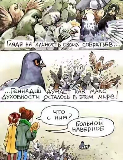 201730.jpg 