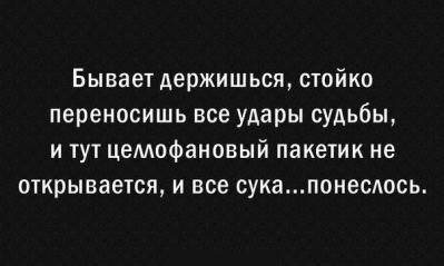 201730.jpg 