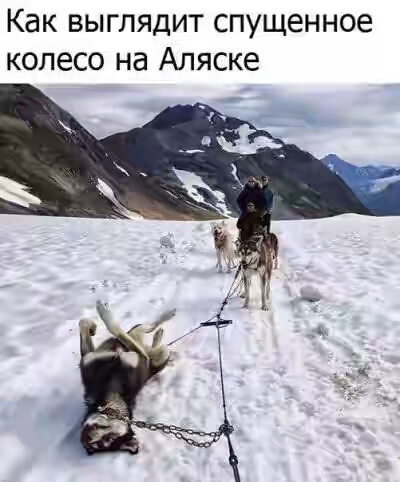 201730.jpg 