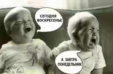 2017.jpg 