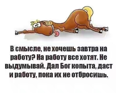 201630.jpg