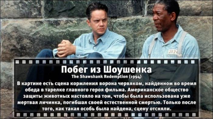 2013.jpg 