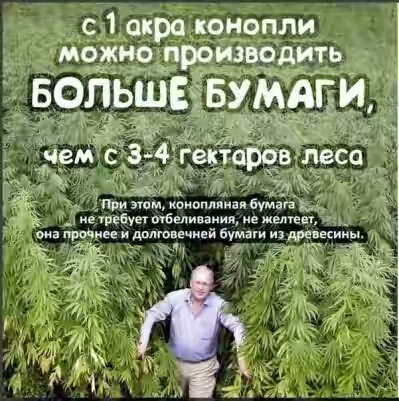 201630.jpg
