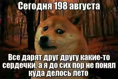 2022.jpg 