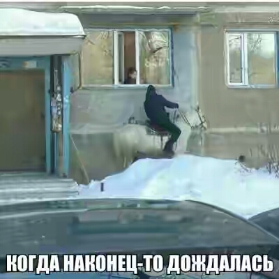 201730.jpg 