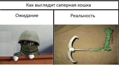 201730.jpg