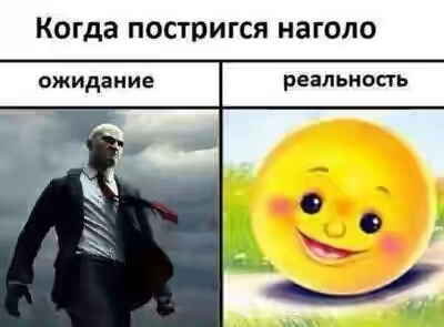 201730.jpg