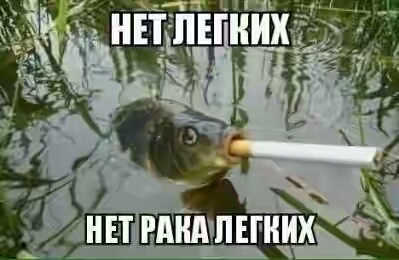 201630.jpg 