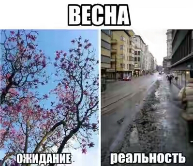 201730.jpg 