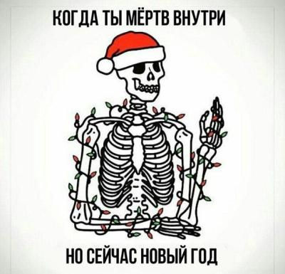 2017.jpg 