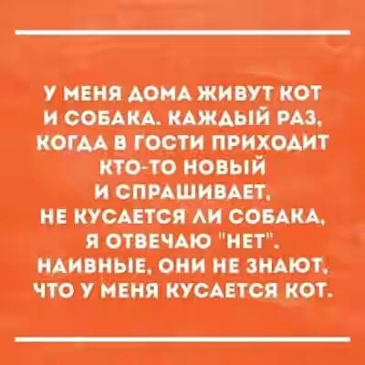 201730.jpg 