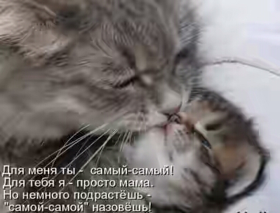 201930.jpg