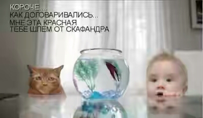 201850.jpg