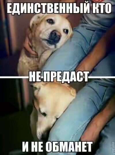 201730.jpg