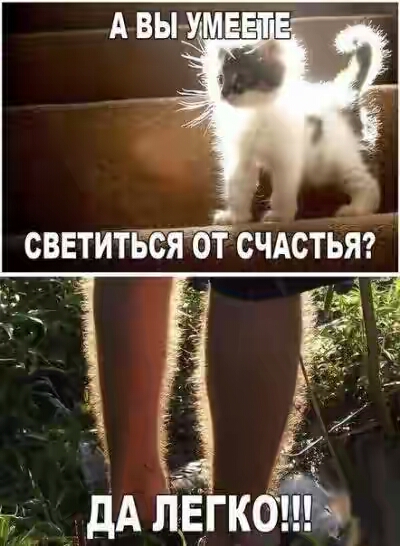 201630.jpg 