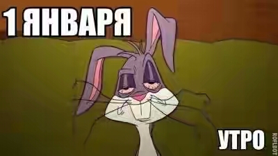 2019.jpg 