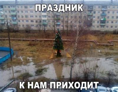 2017.jpg 