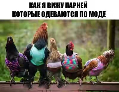 201730.jpg 