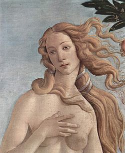 wiki