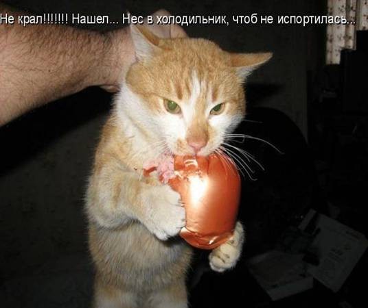 92